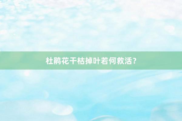 杜鹃花干枯掉叶若何救活？